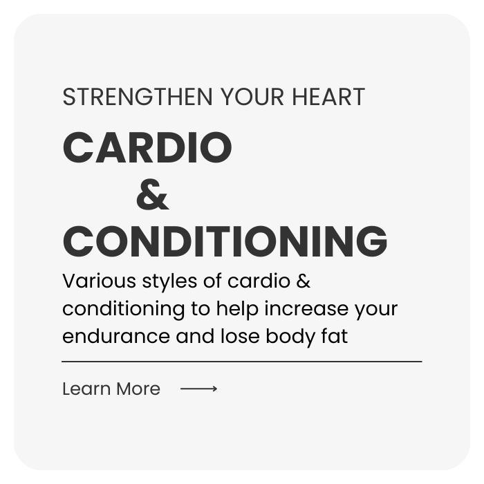 Cardio & Conditioning | All Level Fitness